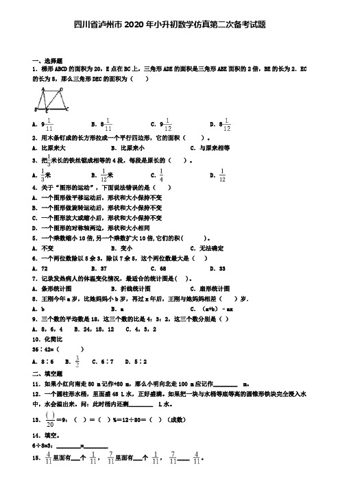 四川省泸州市2020年小升初数学仿真第二次备考试题
