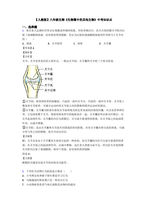 【人教版】八年级生物《生物圈中的其他生物》中考知识点