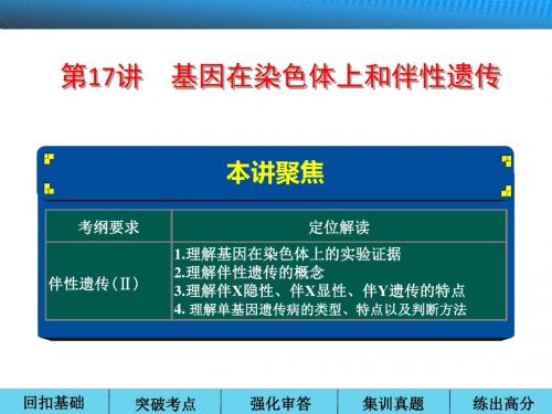 高考生物一轮复习第五单元遗传的基本定律第17讲基因在染色体上和伴性遗传资料