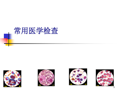 常用医学检查PPT课件