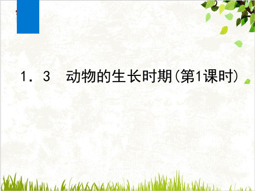 浙教版七级科学下册代代相传的生命同步课件PPT1
