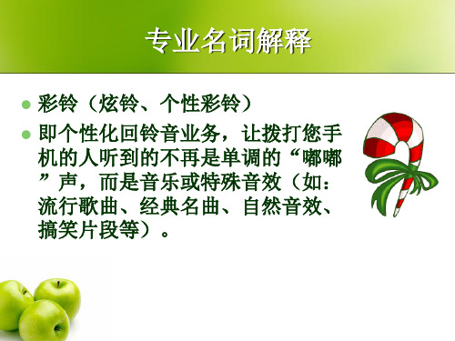 专业名词解释
