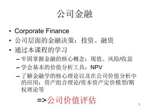 公司金融现值_PPT课件