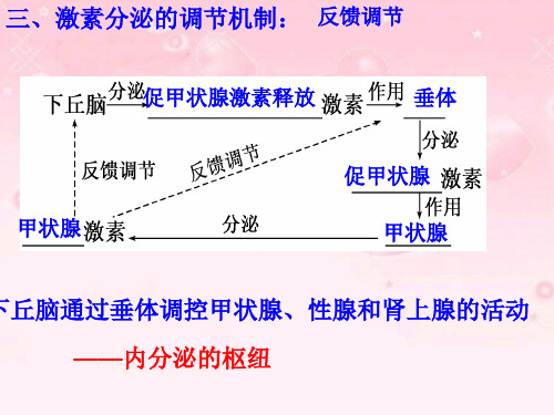 胰岛素分泌不足