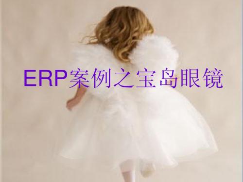 ERP案例之宝岛眼镜(1)