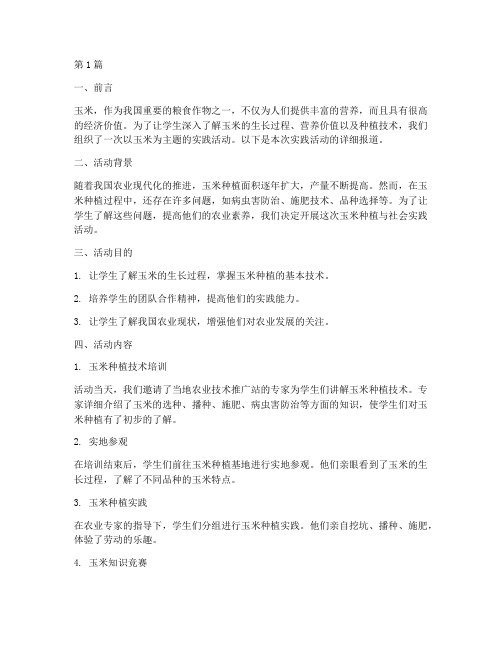 关于玉米的社会实践活动(3篇)