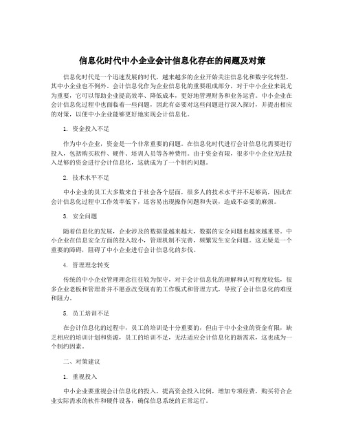 信息化时代中小企业会计信息化存在的问题及对策