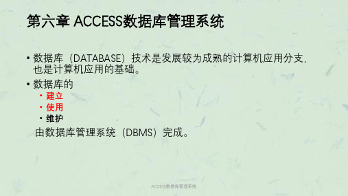 ACCESS数据库管理系统课件