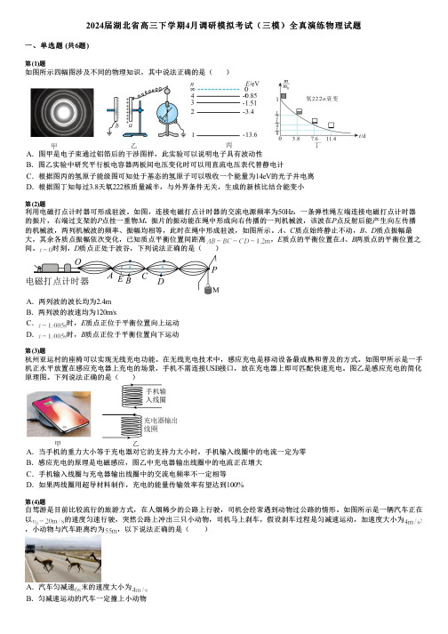 2024届湖北省高三下学期4月调研模拟考试(三模)全真演练物理试题