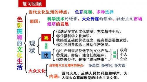 在文化生活中选择