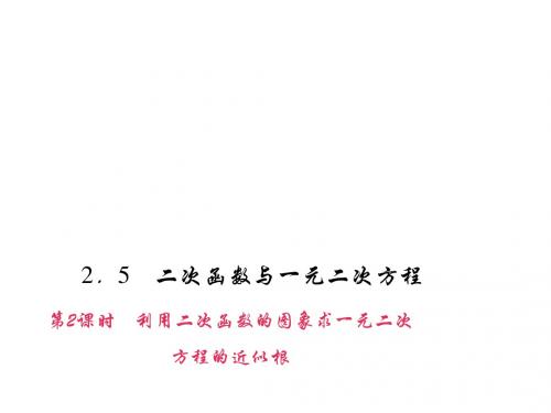 【百分闯关】北师大版2016届九年级数学下册课件：2.5 二次函数与一元二次方程(2)