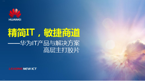 某公司IT产品与解决方案(PPT53页)