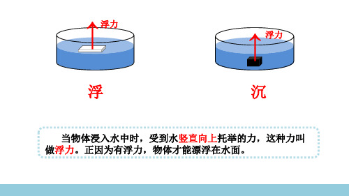 苏教版小学科学新版四年级上册科学11.浮力 (第二课时)