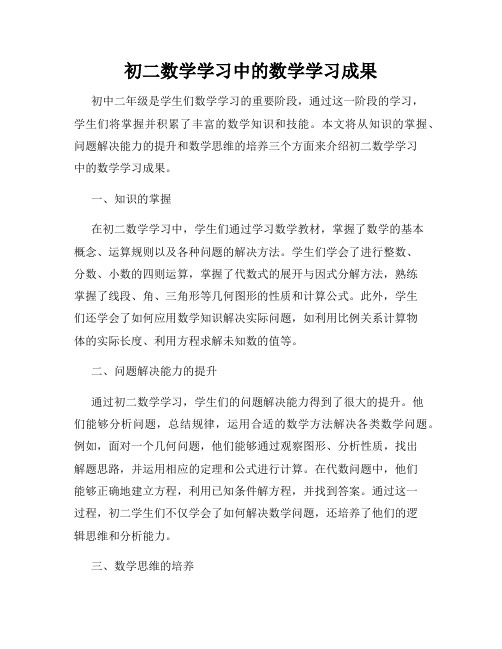 初二数学学习中的数学学习成果