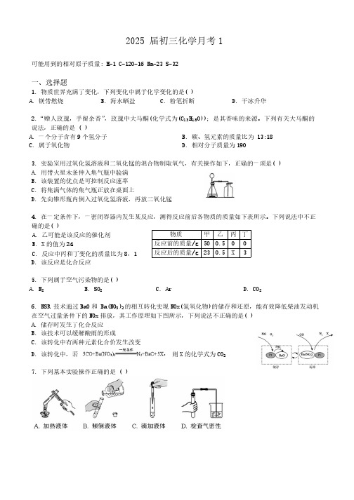 上海市杨浦实验中学2024-2025学年九年级上学期10月考化学试卷