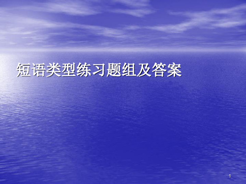 短语类型练习题组及答案ppt课件