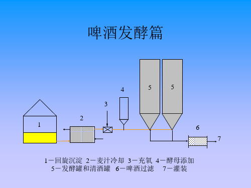 啤酒发酵啤酒生产技术介绍