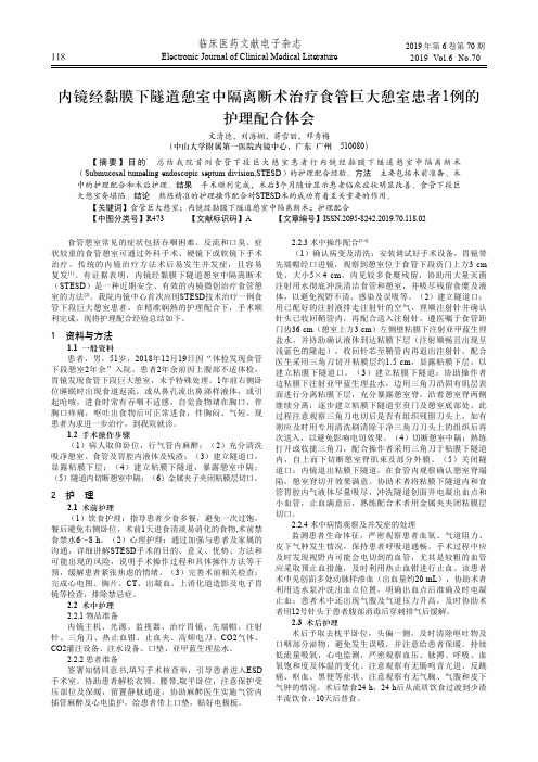 内镜经黏膜下隧道憩室中隔离断术治疗食管巨大憩室患者1例的护理配合体会