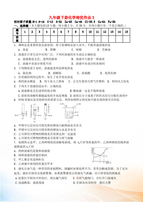 江苏省盐城市大丰市万盈第二中学九年级化学下学期培优作业3 新人教版