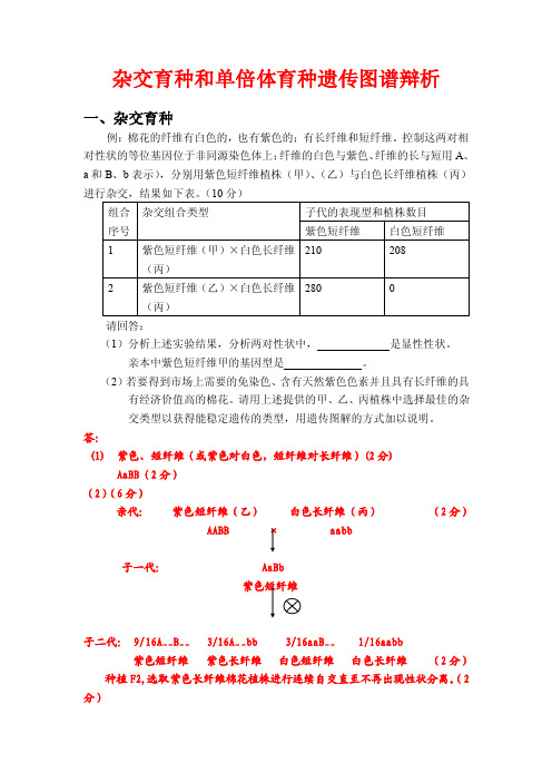 杂交育种和单倍体育种遗传图谱辩析