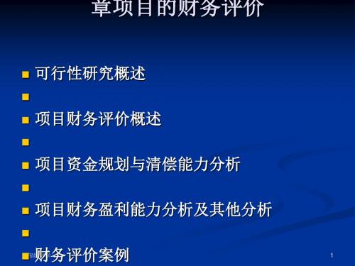 项目的财务评价讲义(PPT 97张)