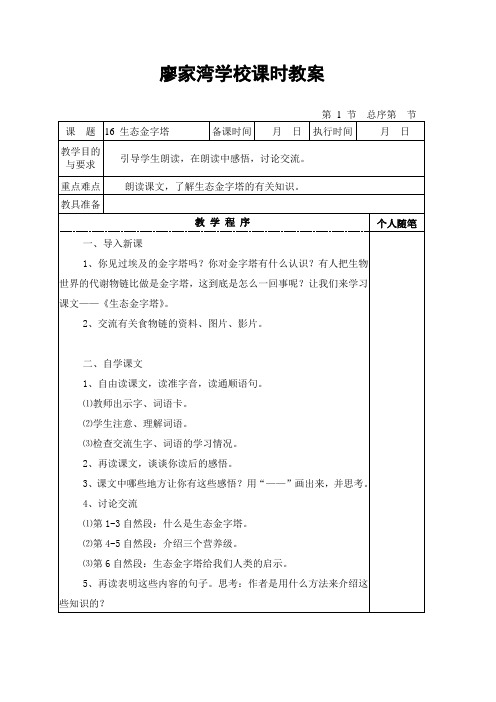 五年级上册语文教案 -5.16 生态金字塔 |湘教版 (1)
