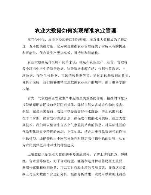 农业大数据如何实现精准农业管理