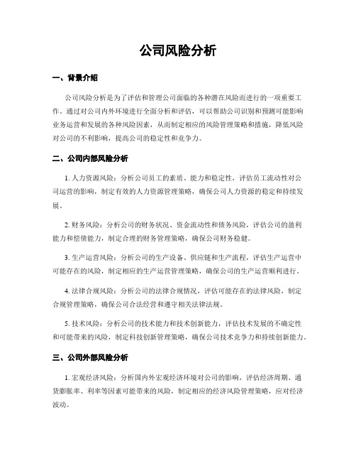 公司风险分析