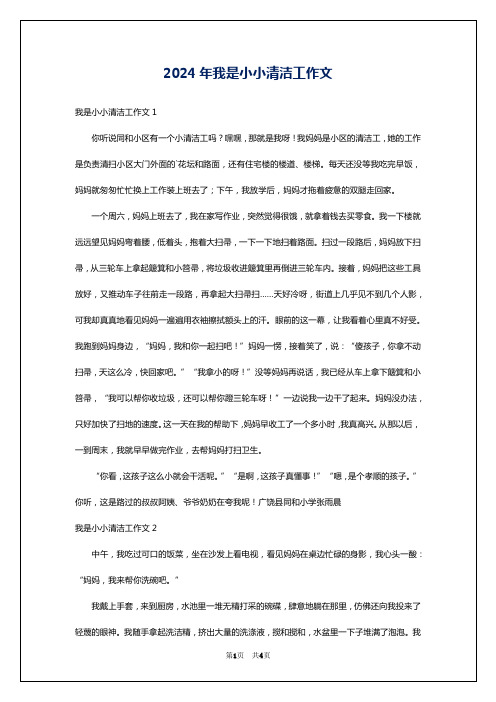 2024年我是小小清洁工作文