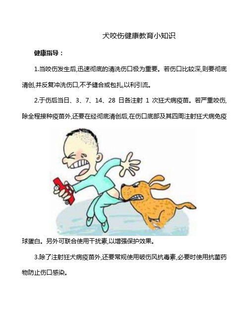 犬咬伤健康教育小知识