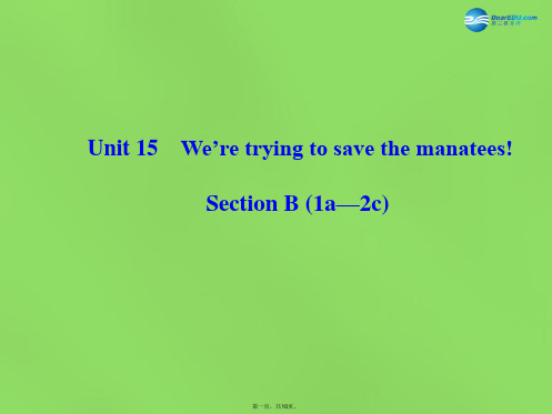 九年级英语全册 Unit 15 We’re trying to save the manatees 