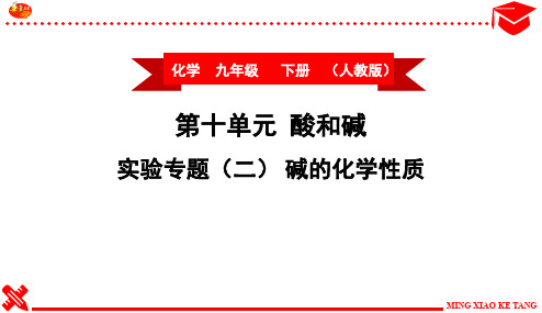 人教版化学实验专题(二) 碱的化学性质