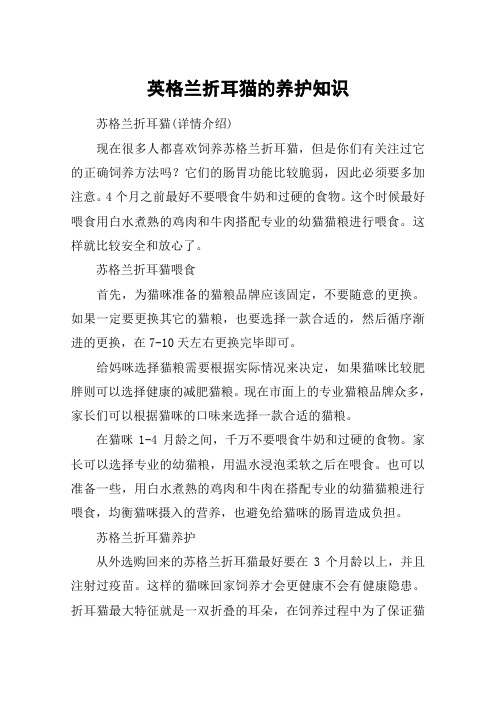 英格兰折耳猫的养护知识