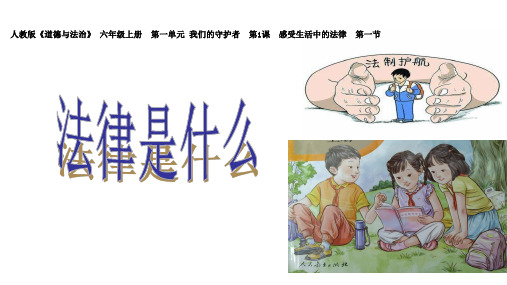 统编部编版小学六年级上册道德与法治第1课感受生活中的法律第一节