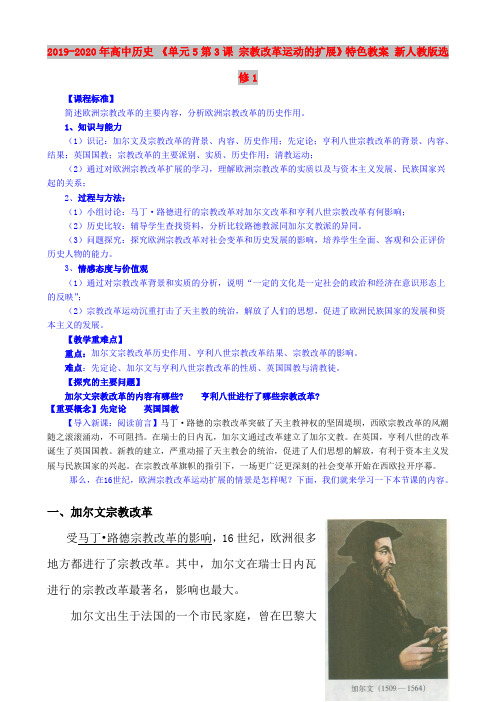 2019-2020年高中历史 《单元5第3课 宗教改革运动的扩展》特色教案 新人教版选修1