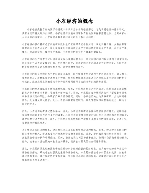 小农经济的概念