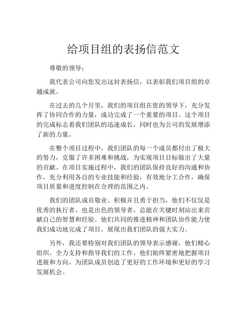 给项目组的表扬信范文