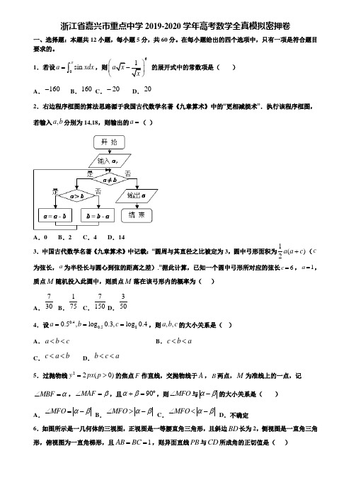 浙江省嘉兴市重点中学2019-2020学年高考数学全真模拟密押卷含解析《含高考15套》