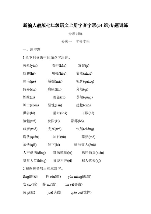 新编人教版七年级语文上册字音字形(14组)专题训练