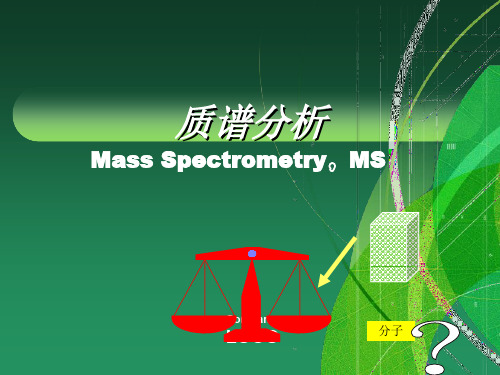 质谱分析完整版.ppt