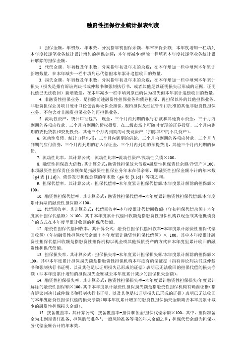 融资性担保行业统计报表制度