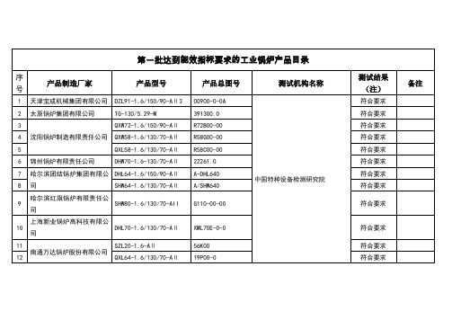 第一批锅炉能效