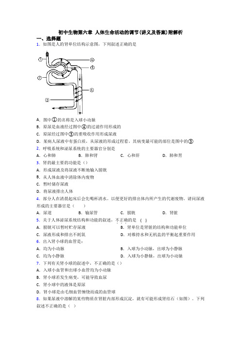 初中生物第六章 人体生命活动的调节(讲义及答案)附解析