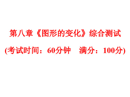 浙江省中考数学总复习 第八章《图形的变化》综合测试