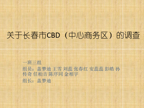 关于长春市CBD(中心商务区)的调查