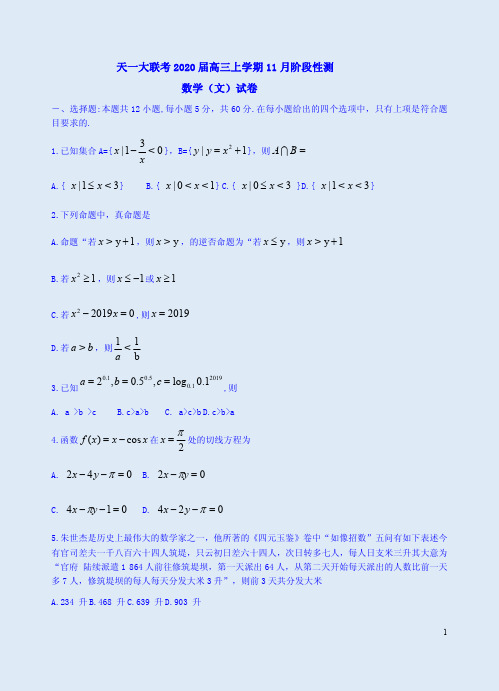 天一大联考2020届高三数学(文)上学期11月阶段性测试卷