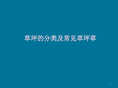 草坪的分类及常见草坪草(冷季型、暖季型)