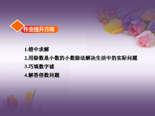 2019秋上册5数北师版第1单元小数除法第4、5课时谁打电话的时间长1.4能力提升练和思维拓展练课件