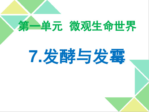 五年级下册科学课件-7发酵与发霉 粤教版 (共24张PPT)