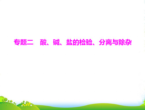 中考化学复习资料 专题二 酸、碱、盐的检验、分离与除杂课件